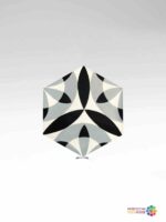 CN-0300118 - Image 2